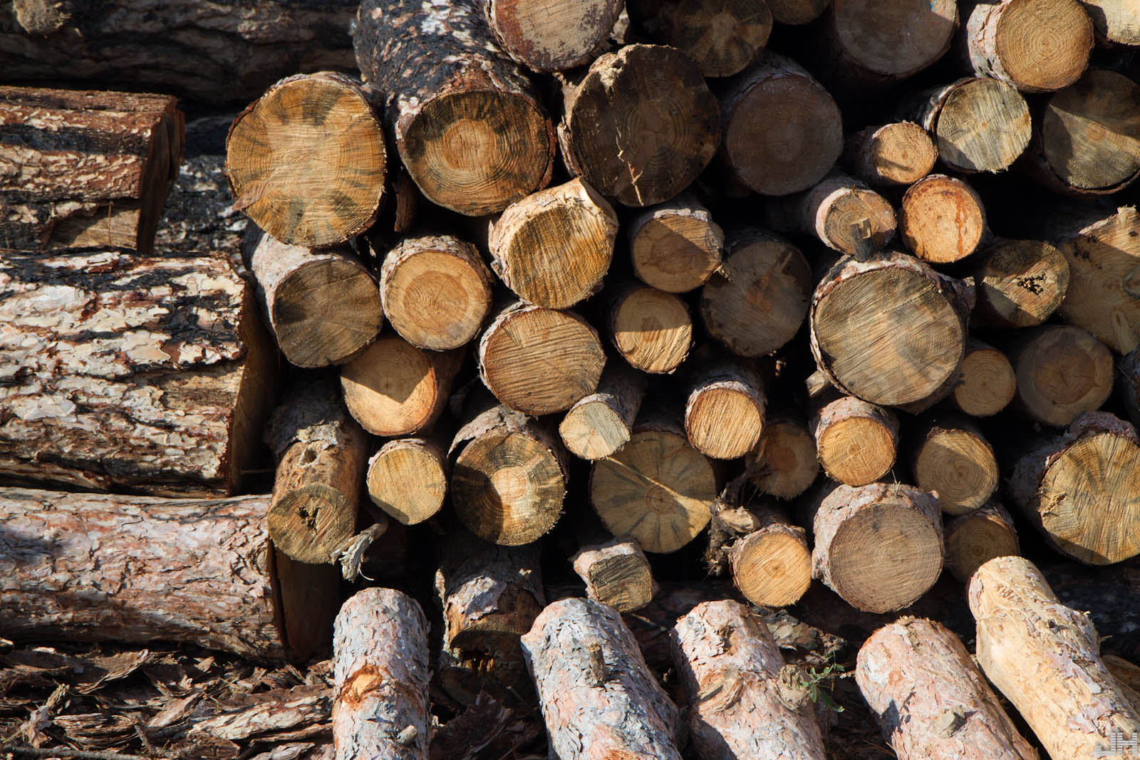 Gold Standard carbon credits from a waste biomass boiler in Bulgaria ...